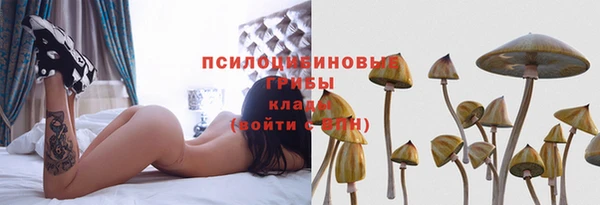 PSILOCYBIN Баксан