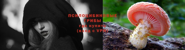 ПСИЛОЦИБИНОВЫЕ ГРИБЫ Балахна