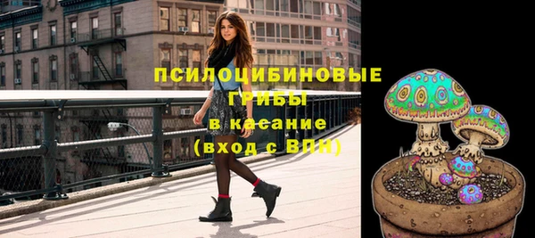 метадон Карпинск