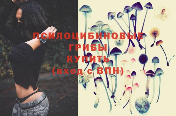 PSILOCYBIN Баксан