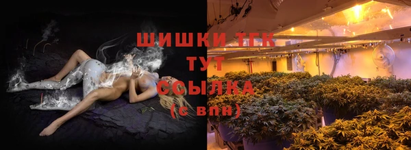PSILOCYBIN Баксан