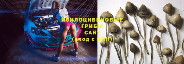 альфа пвп Армянск