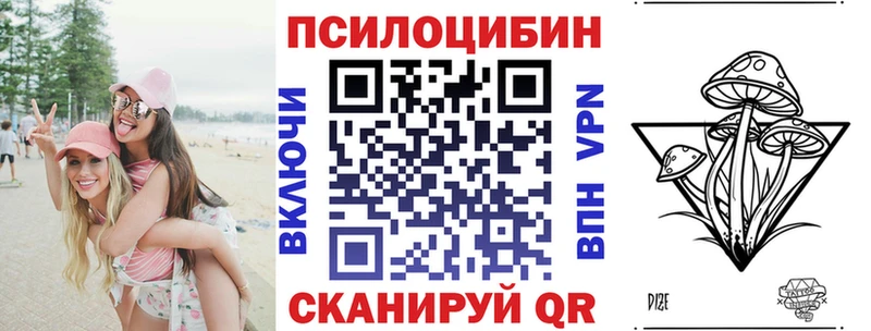 закладки  Урюпинск  Псилоцибиновые грибы мицелий 